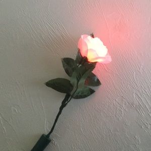 Light up rose